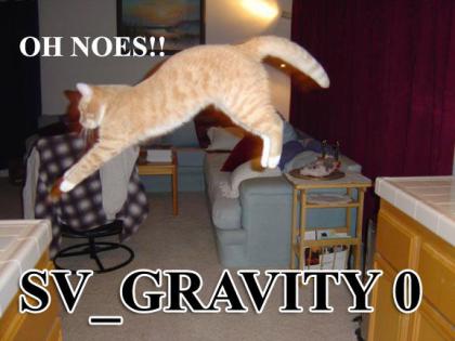 gravity-cat.jpg